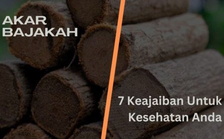 Akar Bajakah: 7 Keajaiban Untuk Kesehatan Anda