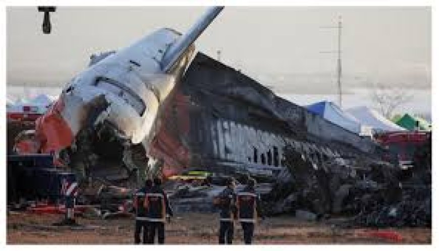 3 Fakta Terbaru Kecelakaan Pesawat Jeju Air di Korsel, Sudah Terbang 13 Kali dalam 48 Jam
