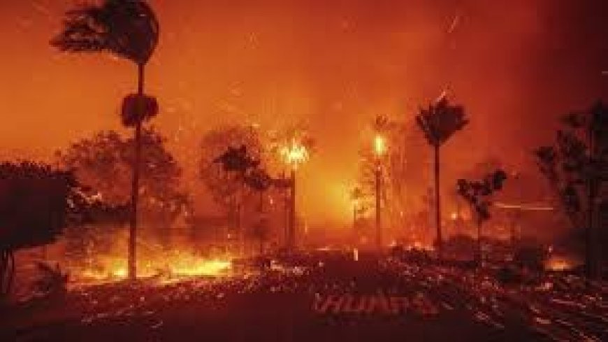 Kebakaran Los Angeles Melahap Hampir 28.000 Hektare dan Menjadi Abu