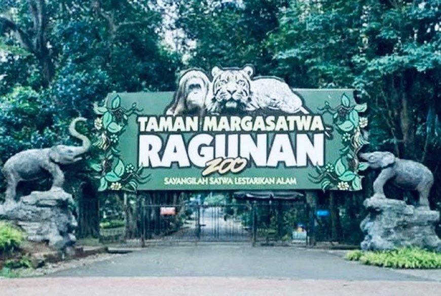 Ragunan Buka Sabtu Malam, Pengunjung Bisa Saksikan Kehidupan Satwa Malam