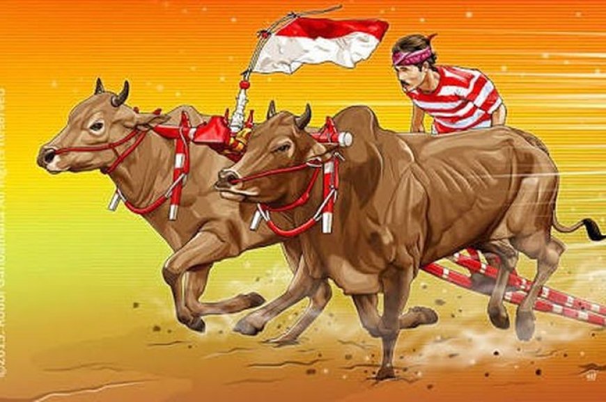 Karapan Sapi, Indonesian Madurese Traditional Cattle Race