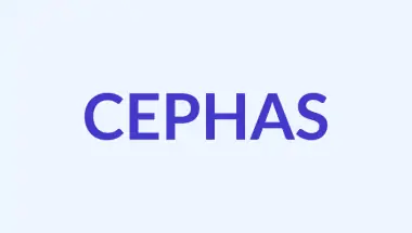 Kefas: Makna Mendalam & Asal-usul Nama Alkitabiah yang Penuh Kekuatan